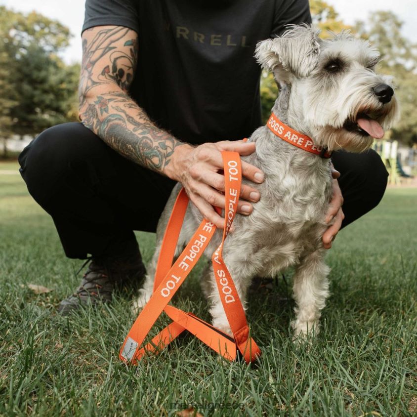 4FVVXX462 λουρί σκύλου (jaf26689-629) poinciana Merrell