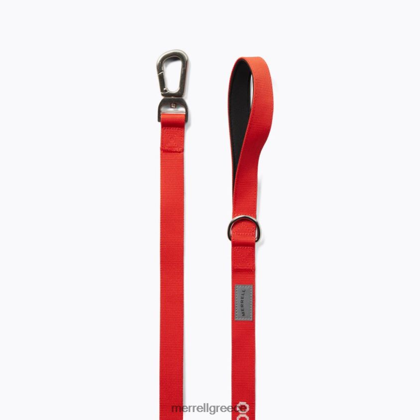 4FVVXX462 λουρί σκύλου (jaf26689-629) poinciana Merrell