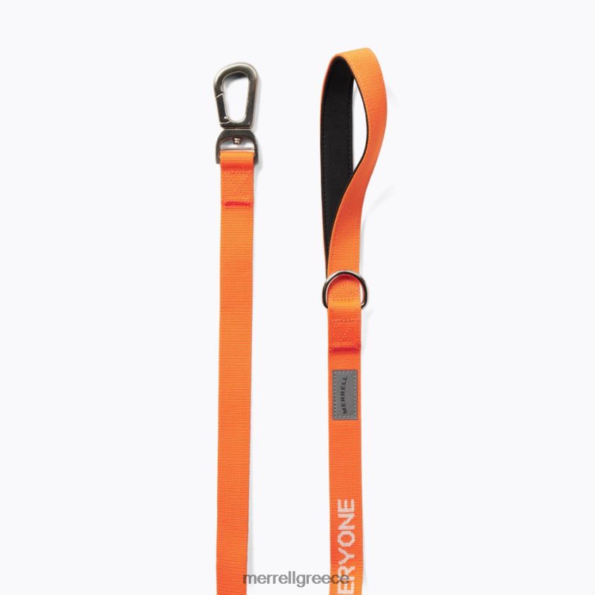 4FVVXX463 λουρί σκύλου (jaf26689-751) μεγάλη αφθονία Merrell