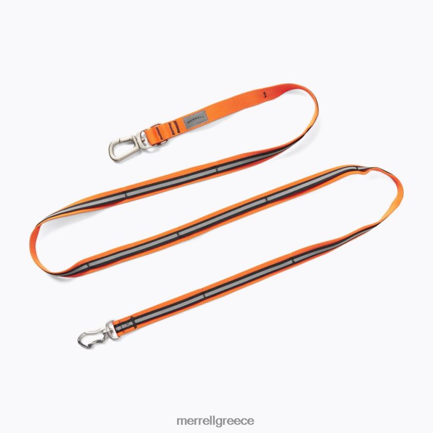 μεγάλη αφθονία