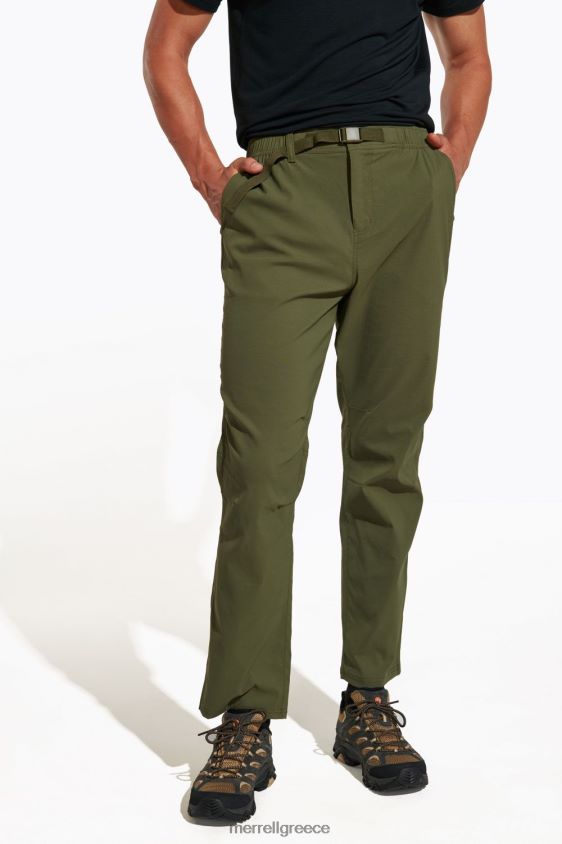 σκονισμένη ελιά